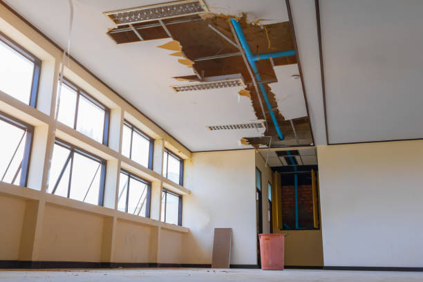 Best Water damage restoration near me  in North Charleroi, PA