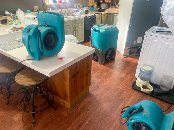 Best Residential water damage restoration  in North Charleroi, PA