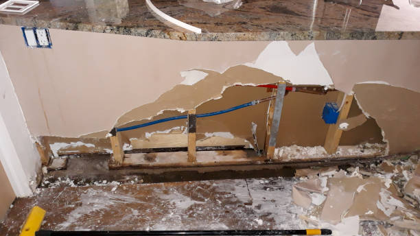Best Water damage cleanup near me  in North Charleroi, PA