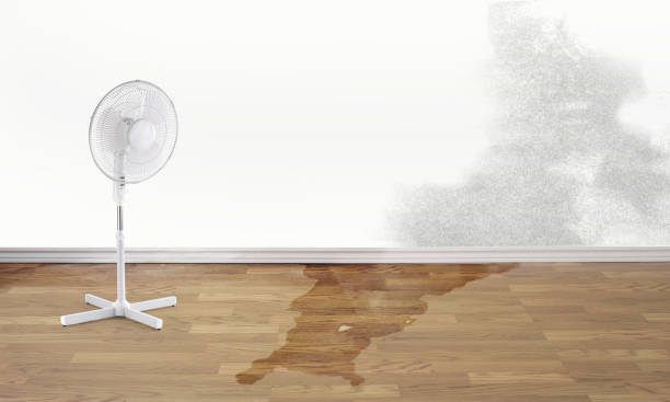 Best Flooded house restoration  in North Charleroi, PA