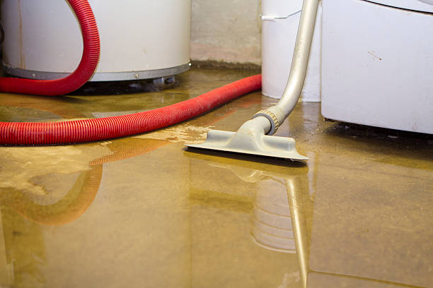 Best Water damage contractors near me  in North Charleroi, PA