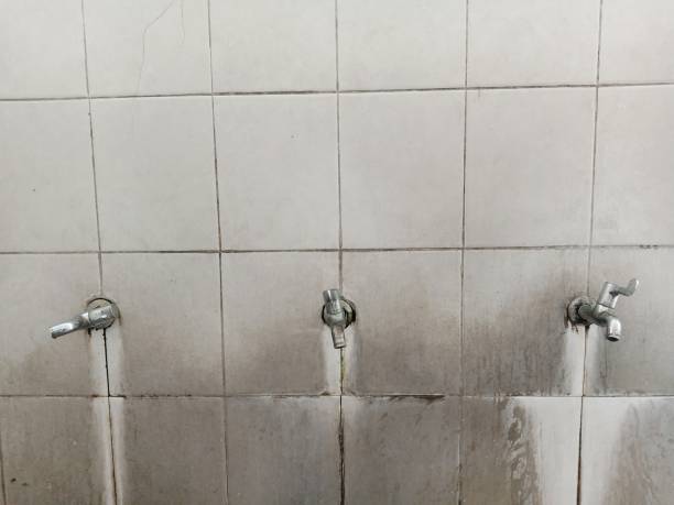 Best Mold removal after water damage  in North Charleroi, PA