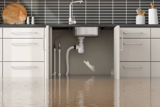 Best 24/7 water damage repair  in North Charleroi, PA