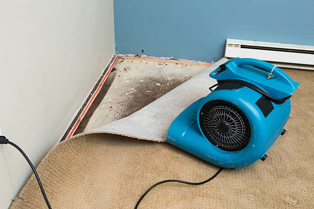 Best Fire Damage Restoration  in North Charleroi, PA